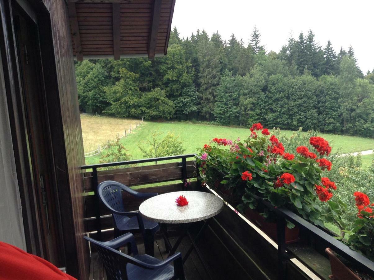 Pension Schonbrunn Бюль Екстер'єр фото