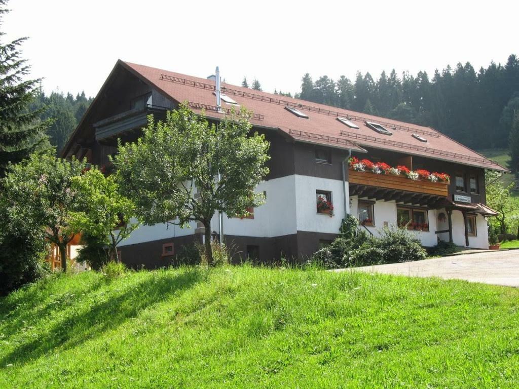 Pension Schonbrunn Бюль Екстер'єр фото